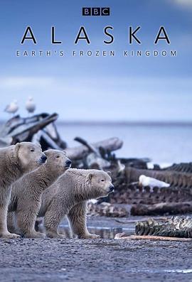 阿拉斯加：地球上的冰凍王國