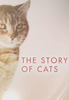 貓科動物的故事
