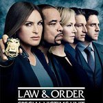 法律與秩序：特殊受害者 第十七季