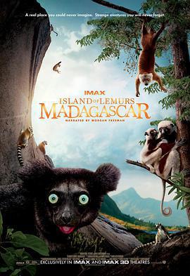 馬達加斯加：狐猴之島