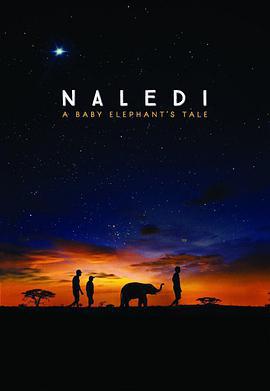 納勒迪：一隻小象的故事