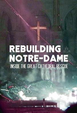 古教堂大救援：爭分奪秒拯救巴黎聖母院