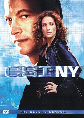 犯罪現場調查：紐約 第二季
