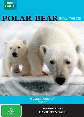 北極熊：冰上偵探