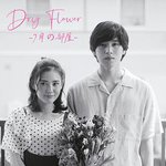 Dry Flower-七月的房間-