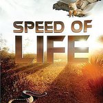 探索頻道：生命的速度